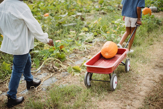 A woman and child walk through a pumpkin patch. The child pulls a red wagon with a pumpkin inside.
