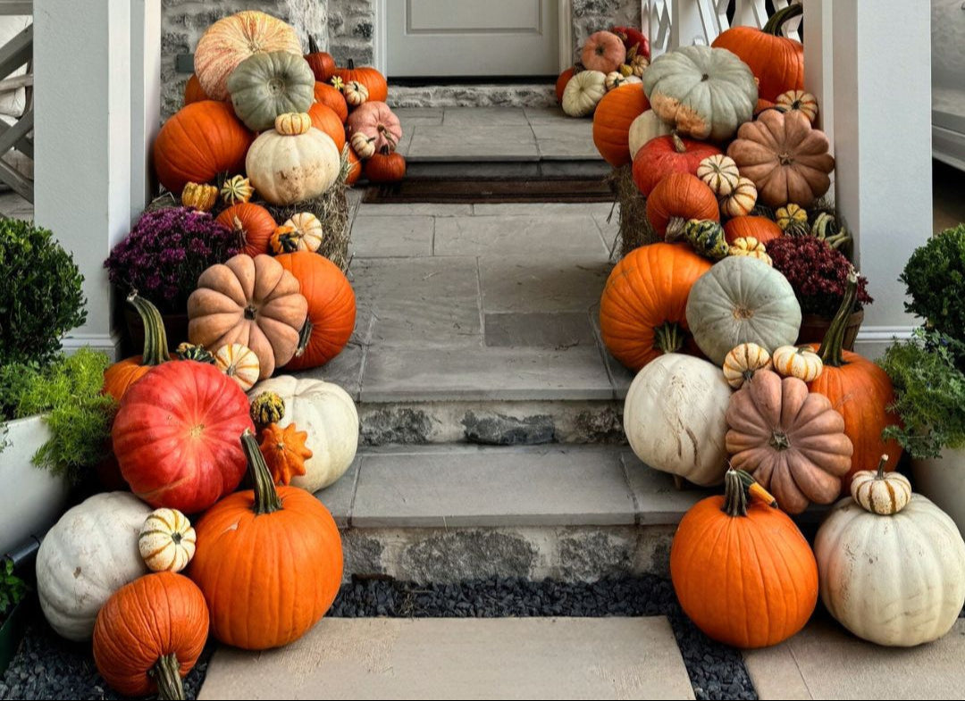 Decorative arrangement of pumpkins and gourds on the steps of a front porch.