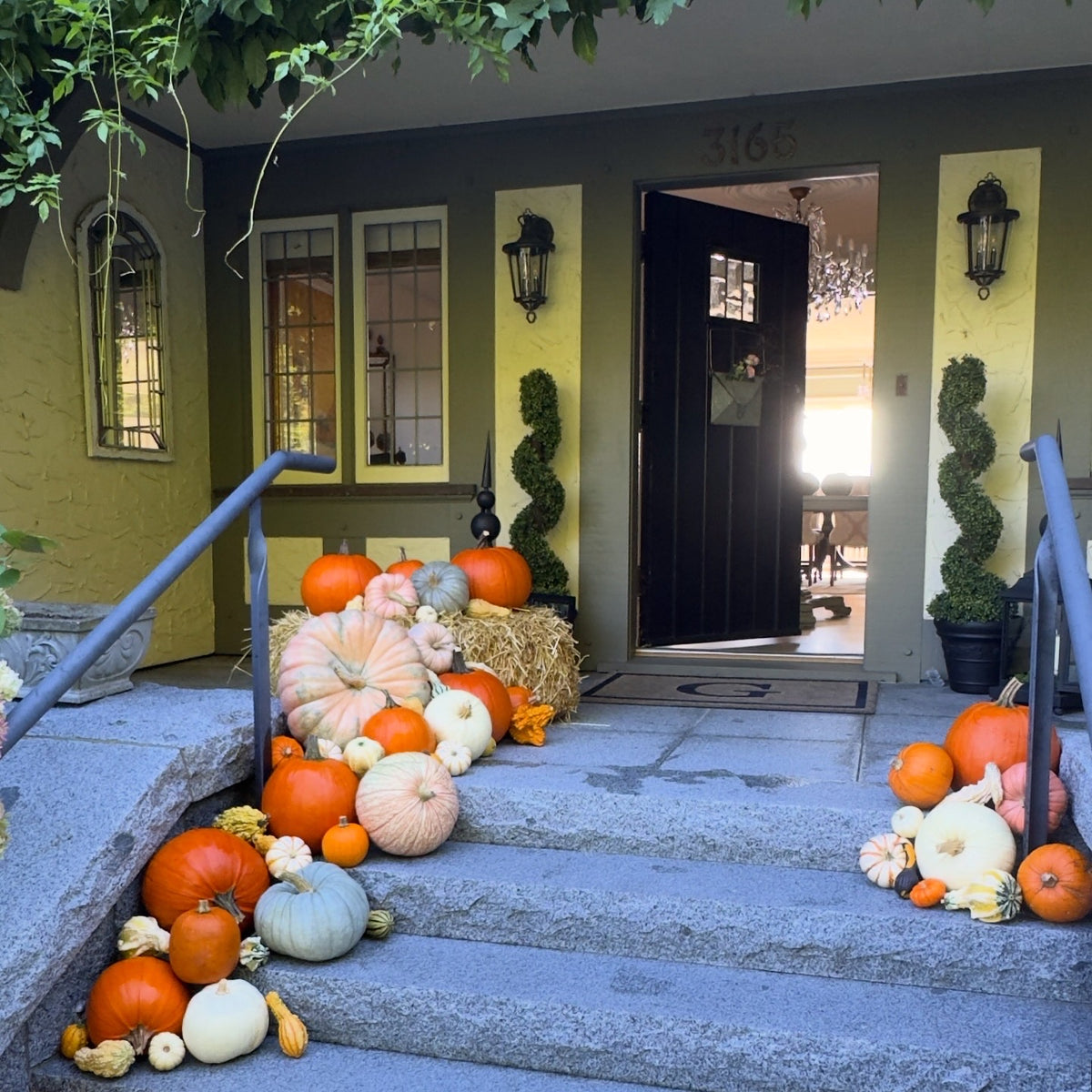 Pumpkin Package #2: The Grand Budapest
