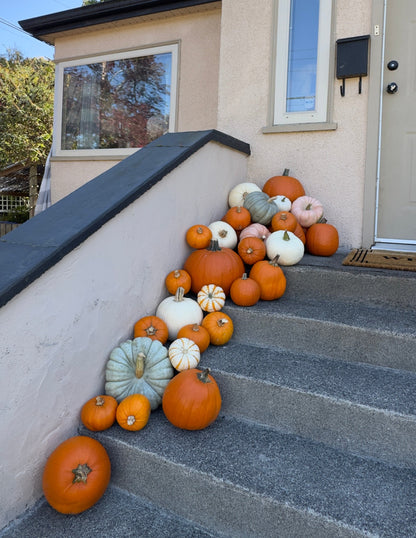 Decorative arrangement of pumpkins on a set of stairs in front of a house.