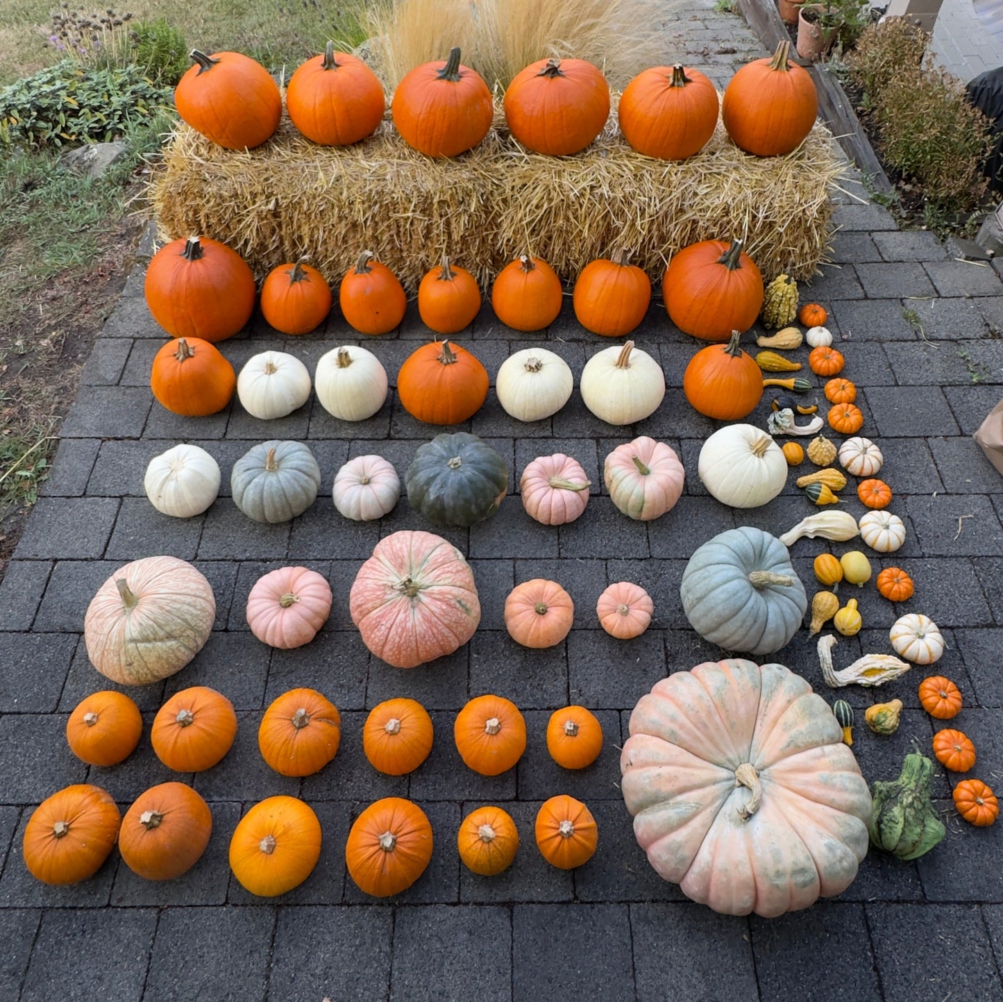 Assorted pumpkins arranged on a patio with hay bale and decorative elements.