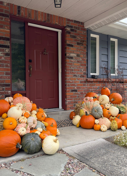 Decorative pumpkins on a stone pathway in front of a house with a maroon door.