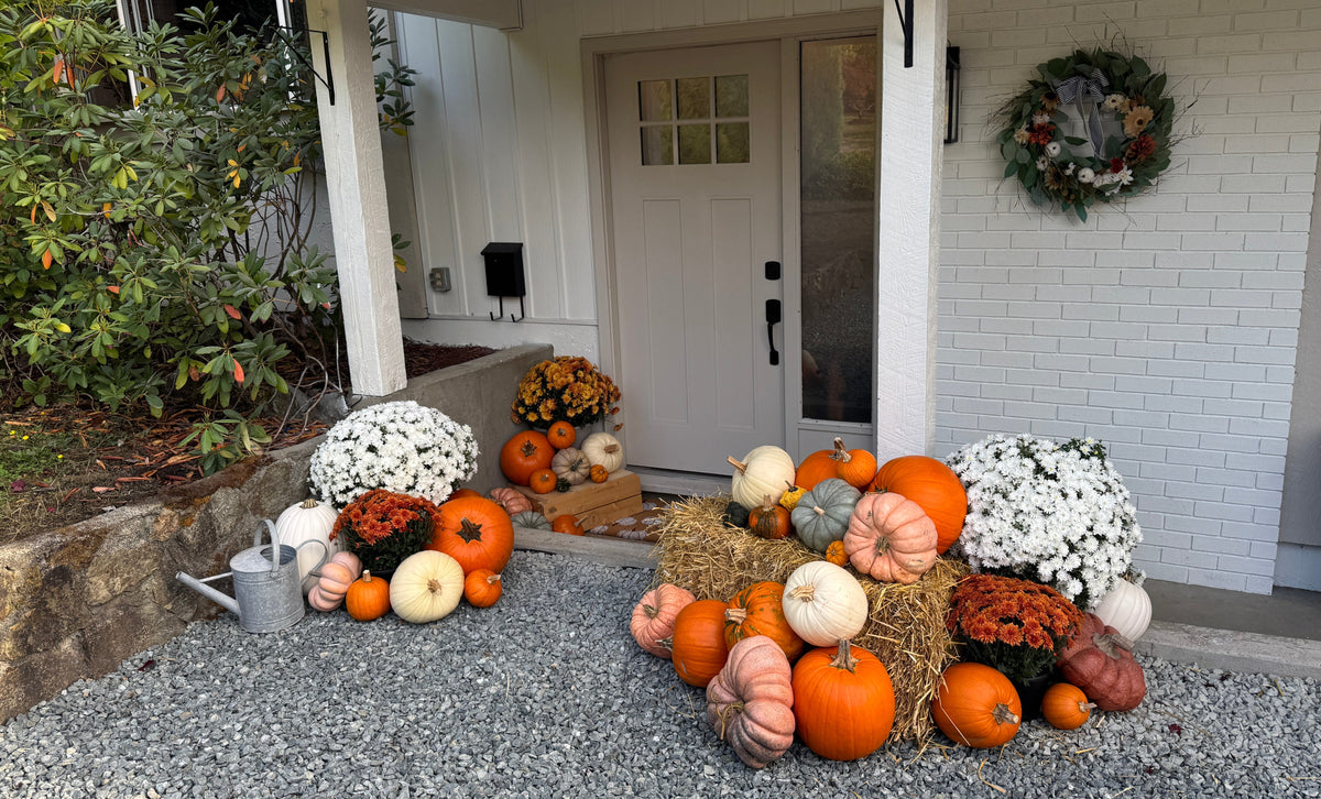 A styled autumn front porch display featuring numerous orange, white, and tan pumpkins and gourds arranged on and around hay bales, alongside white mums, an orange flower bush, a metal watering can, and a white house facade in the background.