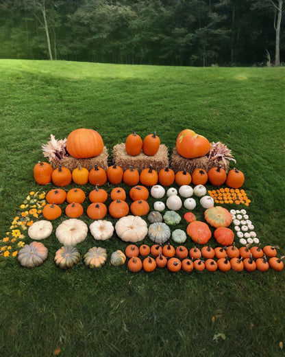76 pumpkins of various sizes, shapes and colours, along with a variety of miniature pumpkins and gourds sit on three hay bales on the grass in a park. 