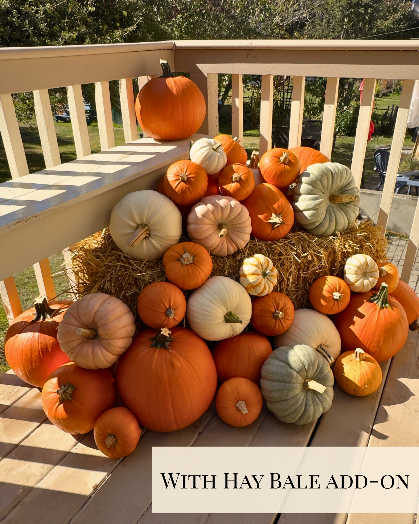 Assorted pumpkins on a wooden deck with a hay bale add-on