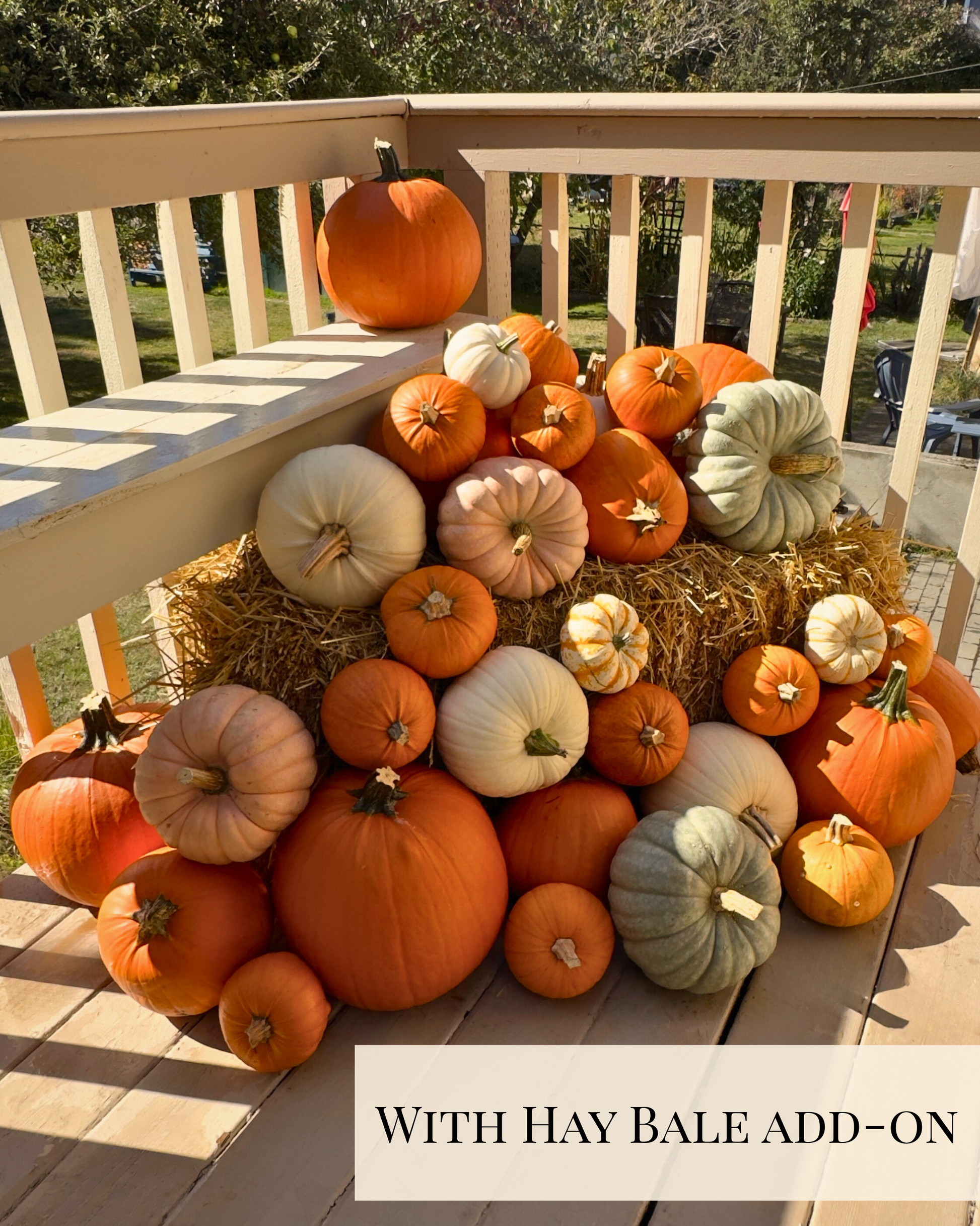 Assorted pumpkins on a wooden deck with a hay bale add-on