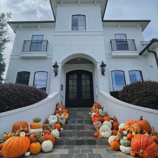 A video of a porch decorated with a variety of pumpkins in different shapes and sizes. 