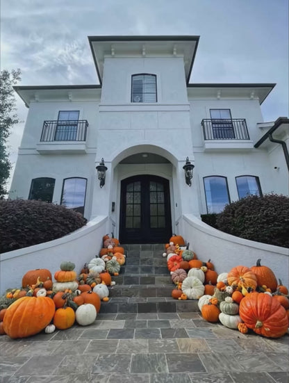 A video of a porch decorated with a variety of pumpkins in different shapes and sizes. 