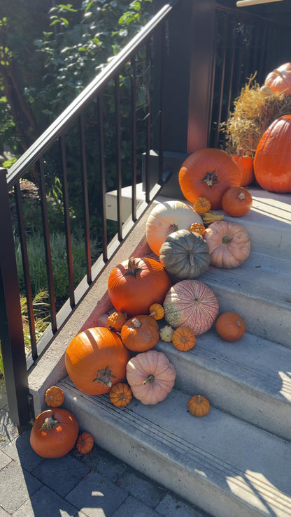 An assortment of pumpkins on a porch.