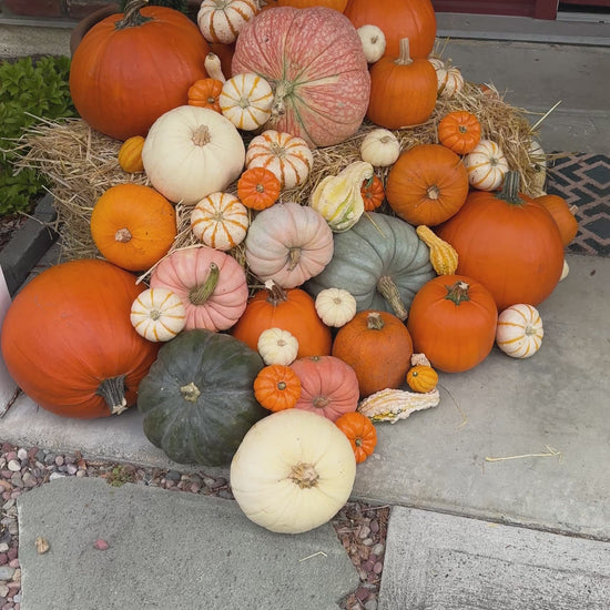 An abundance of pumpkins on a front porch, stacked on haybales.