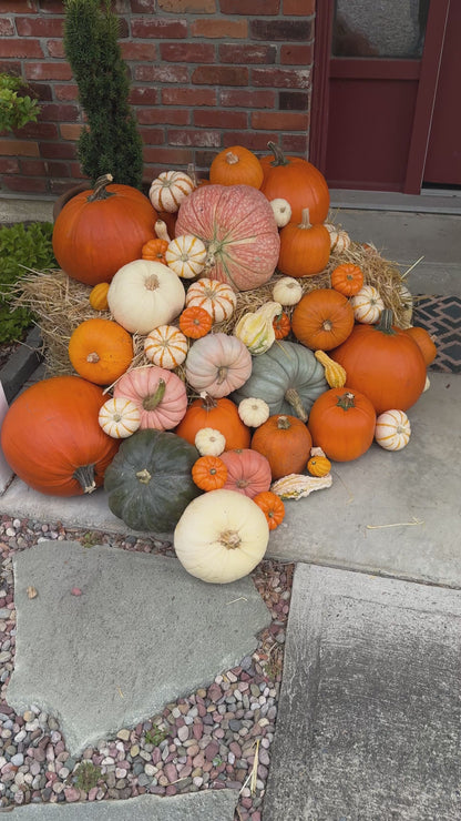 An abundance of pumpkins on a front porch, stacked on haybales.