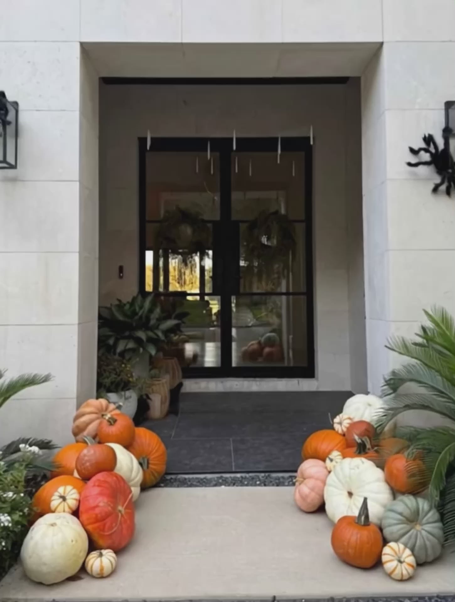 A video of pumpkins of varous sizes, shapes and colours on a porch.