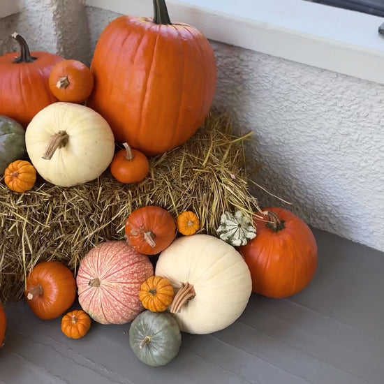 An assortment of pumpkins on a porch.
