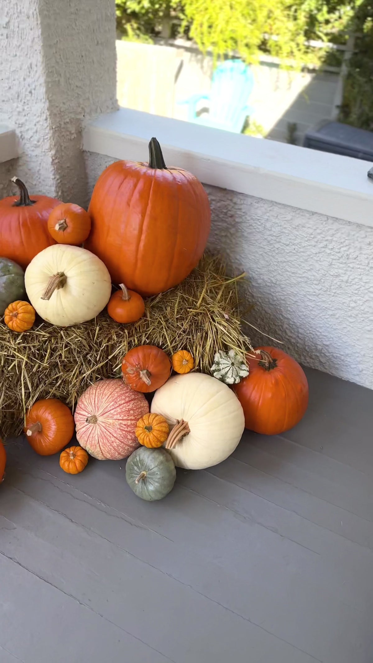 An assortment of pumpkins on a porch.
