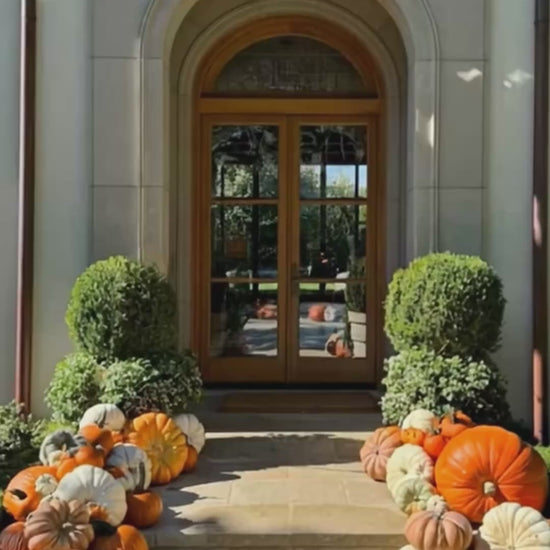 A video of a porch decorated with a variety of pumpkins in different shapes and sizes. 