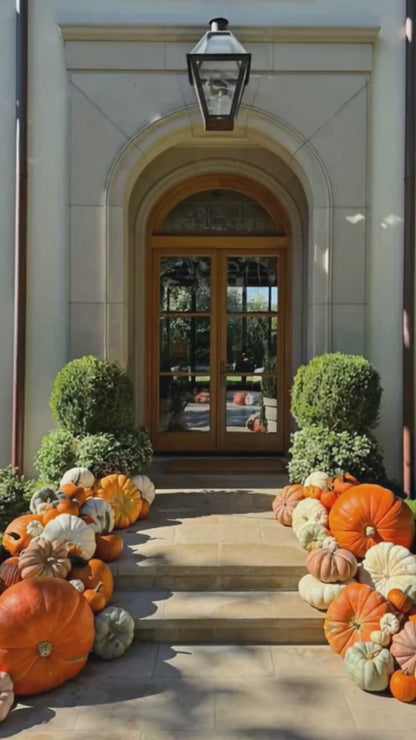 A video of a porch decorated with a variety of pumpkins in different shapes and sizes. 