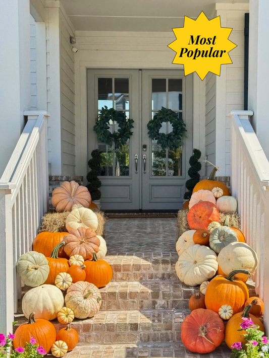 A variety of pumpkins of various sizes on a porch.